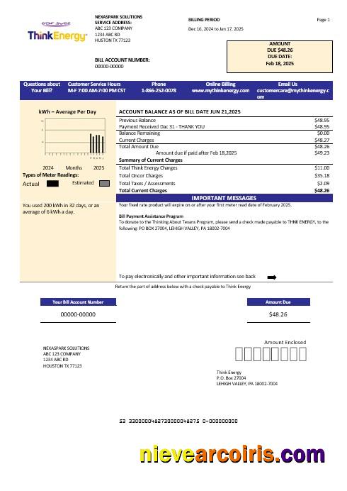 USA Think Energy business utility bill